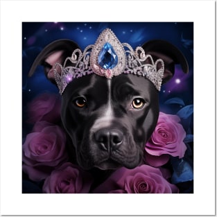 Black Pitty Posters and Art